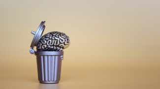 Brain model inside the trash can. Conceptual image