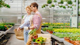 Customer service in the plant store concept.