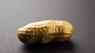 Golden Peanut - Value Concept