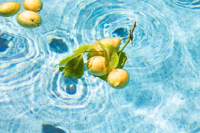 lemons float in a pool while being kissed by the sun.