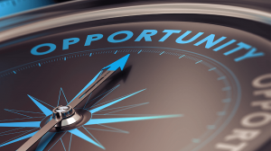 Franchise vs Business Opportunity