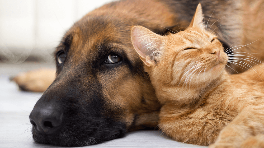 The 20 Most Profitable Niches Online